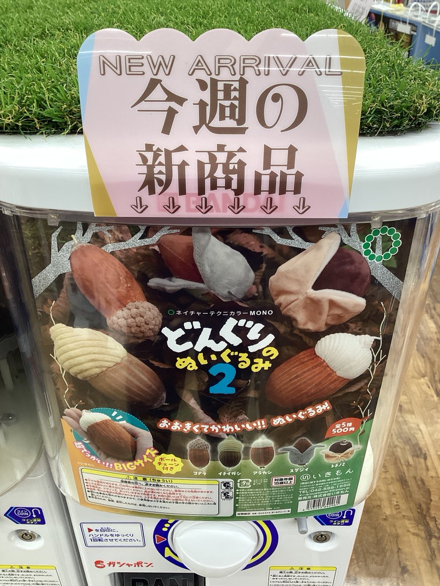 ⛄️ガシャココ 平安堂あづみ野 入荷商品🎄 🌳#NTC MONO どんぐりの