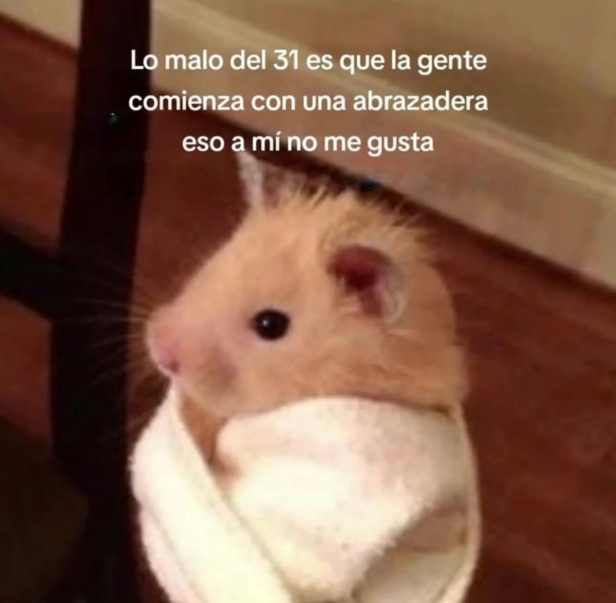 angelo_uf's tweet image. 