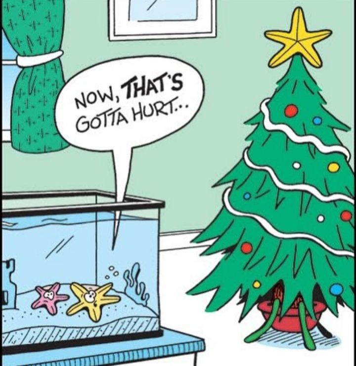 Obi Juan Jalapeño tweet media