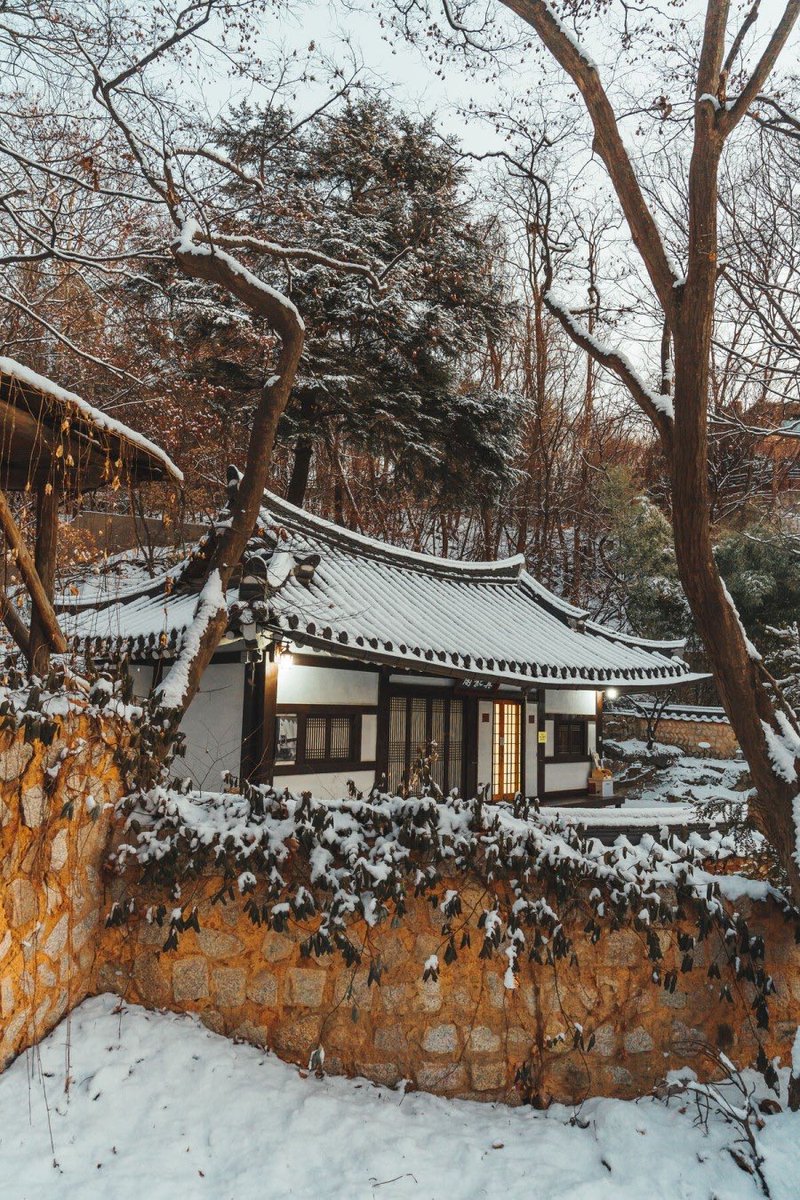 whitenationkor tweet picture