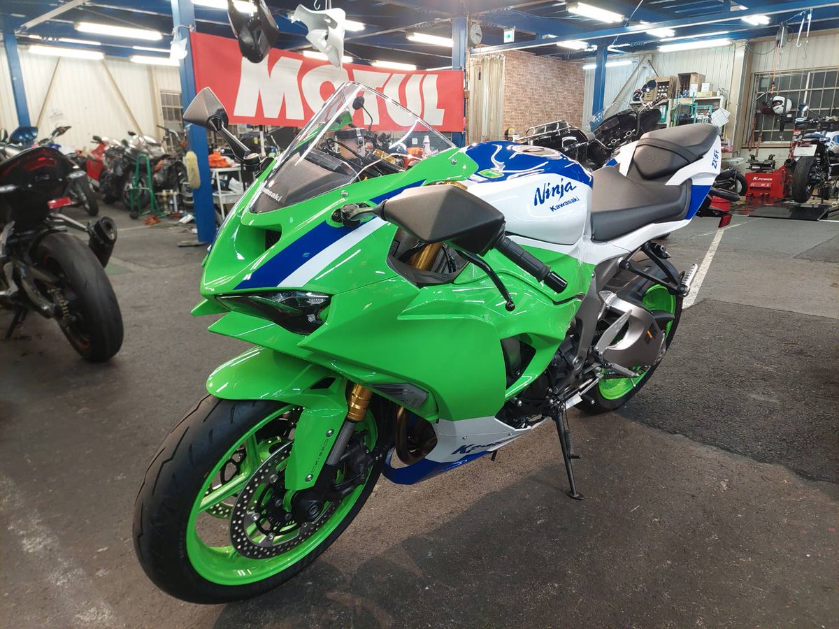 TTD 【⭐︎ たる様⭐︎】【美品・数量限定】 可愛いお顔やグラマラスボディも再現！トリダモノ氏デザインの