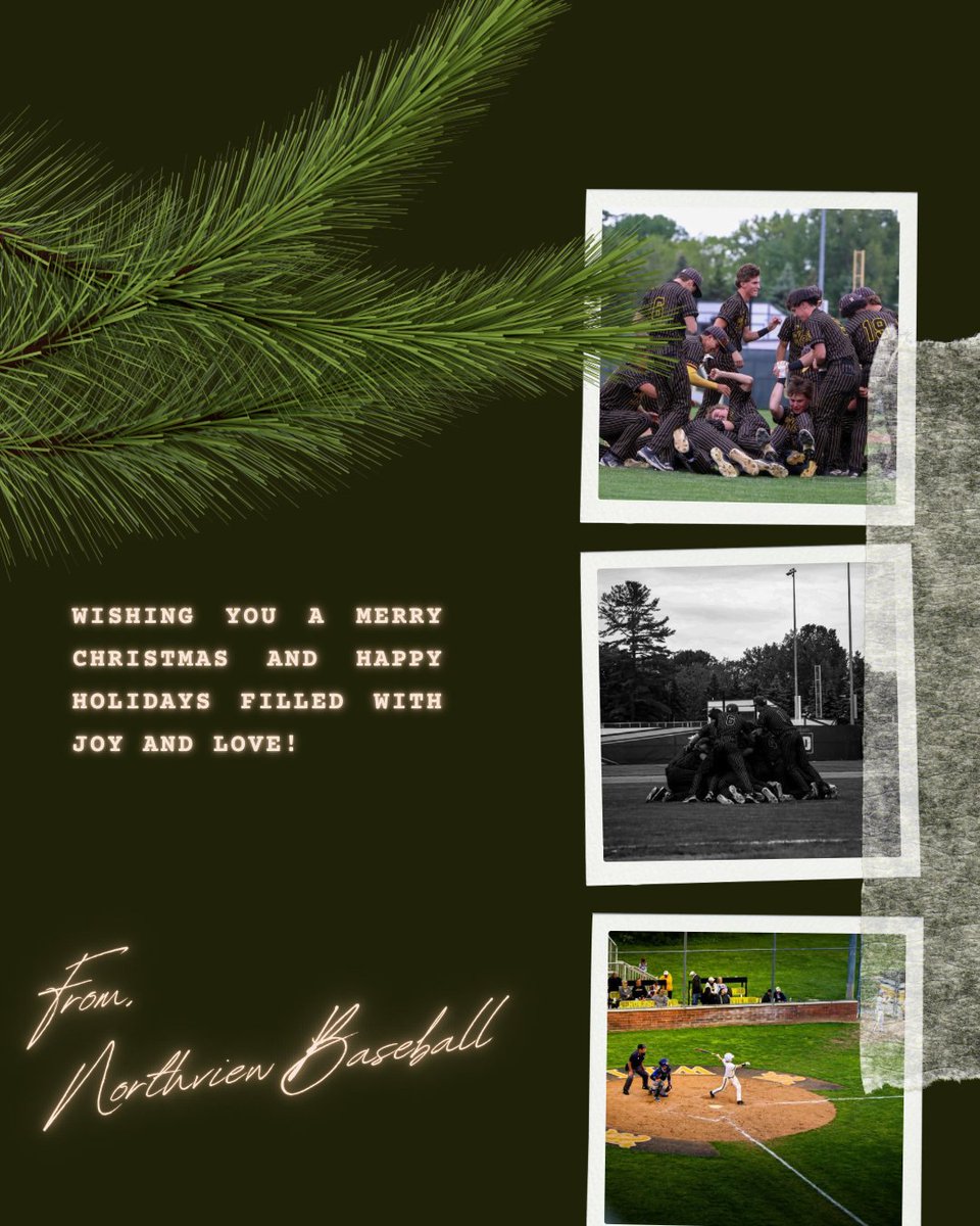 Northview Baseball tweet media