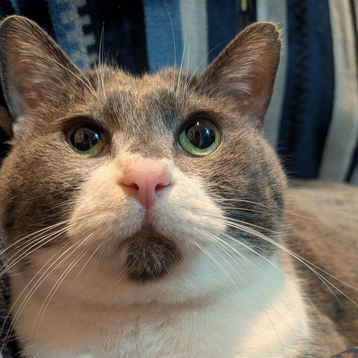 CHÄNK(∵)49BALL (@chank49ball52) / Posts / X