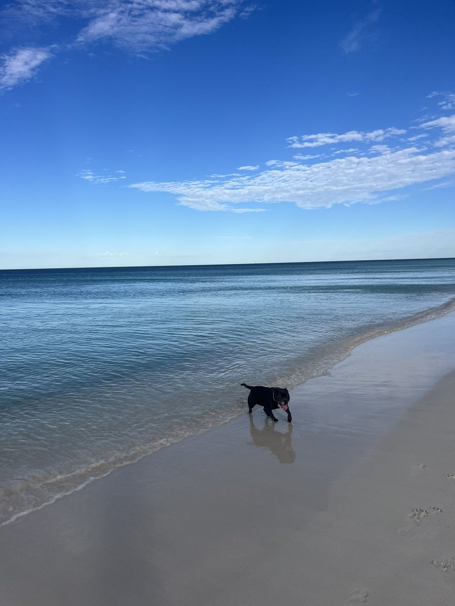 gothamgrrls's tweet image. weather temperature gap friendship @howlincommandzo