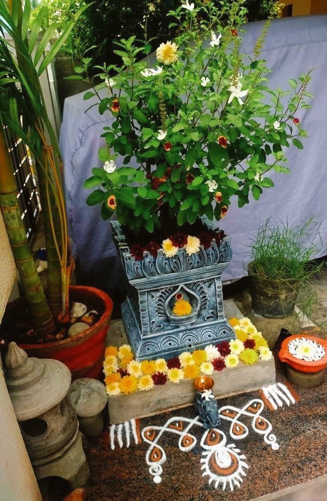 हर घर के आँगन में #तुलसी , तुलसी बड़ी महान है ,
 जिस घर में तुलसी रहती , वो घर स्वर्ग समान है। 

आप सभी को #तुलसी_पूजन_दिवस की हार्दिक शुभकामनाएं।
       
जय तुलसी मैया 🙏🚩

#TulsiPujanDivas