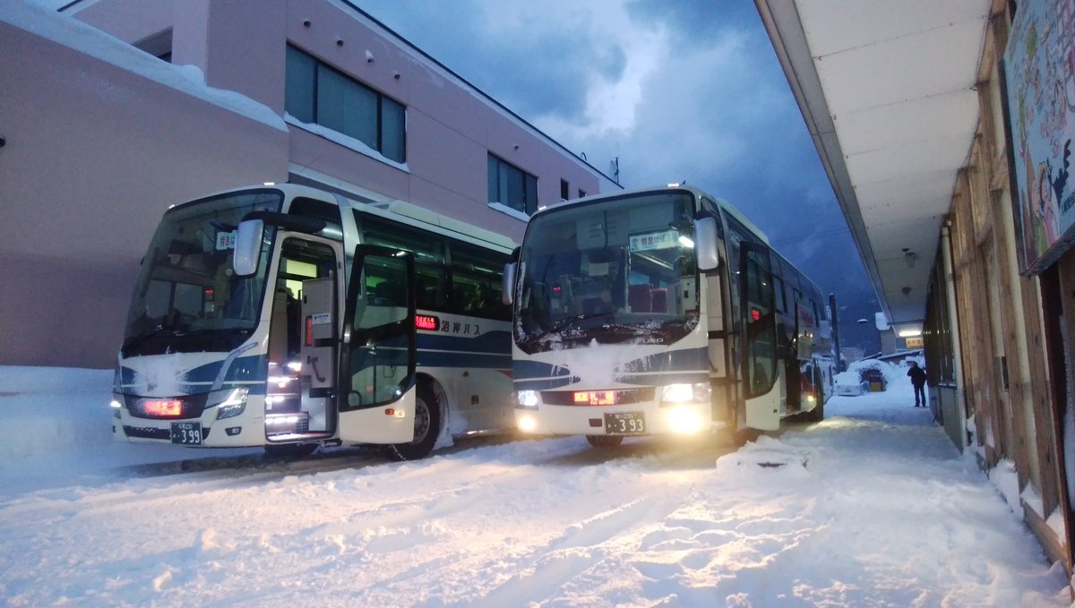 バンブー (@bamboo5202) / Posts / X