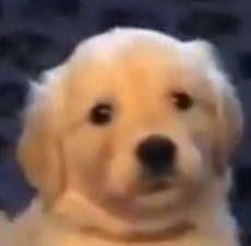 porcelain_camie's tweet image. sitting here knowing the full story and not the purposely cropped screenshots but not being allowed to say anything