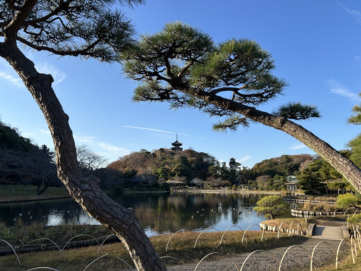 HSankeien's tweet image. 【年末休園のお知らせ】
本年もたくさんのお客様にご来園いただきまして、ありがとうございました。
三溪園は12月26日(金)～31日(水)まで休園いたします。ご理解のほど、よろしくお願いいたします。
新年は1月1日(木・祝)から開園いたします。