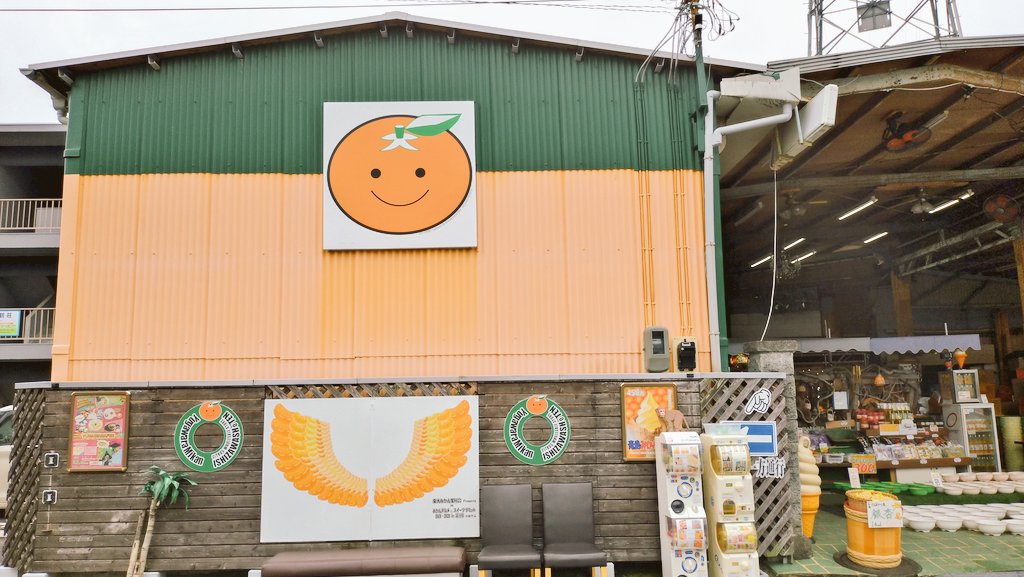 神奈川県 湯河原 みかん問屋 石澤商店さん 4種類試食して1番好みだった