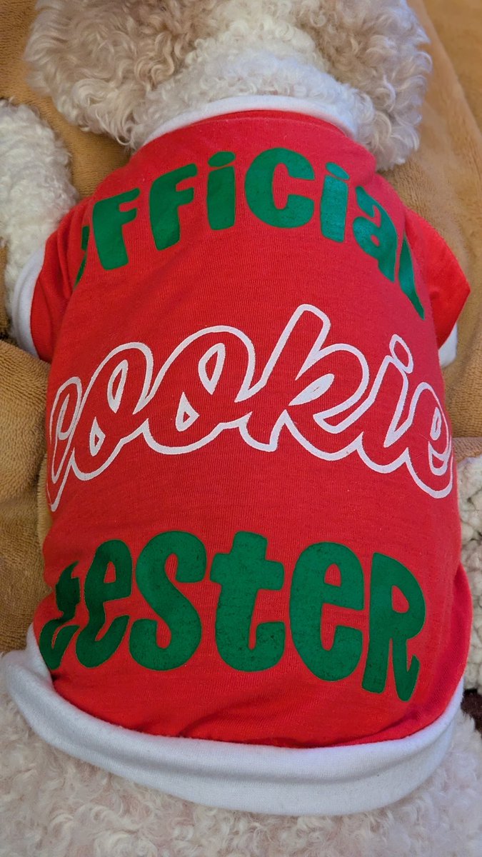 Daisy The Cavapoo tweet media