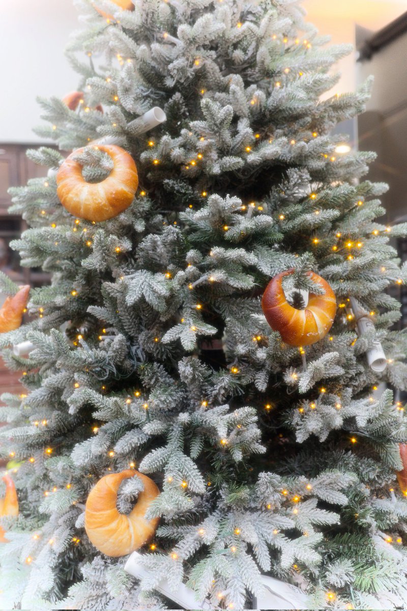 mintous_love's tweet image. 진짜 너무 행복했다
작년에 외국에서 혼자 보낼 때 넘 슬펐거든요ㅠㅠ 그래서 올해 진짜 열심히 뛰어다님~