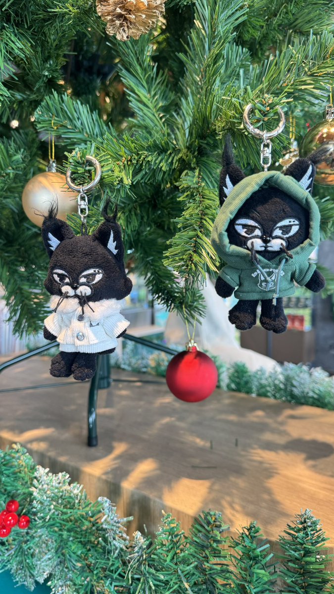 MerryChristmas อยู่ที่ไหนก็ขอให้มีความสุขนะ🌴💕 #Jayb <a href="/jaybnow_hr/">JAY B</a>