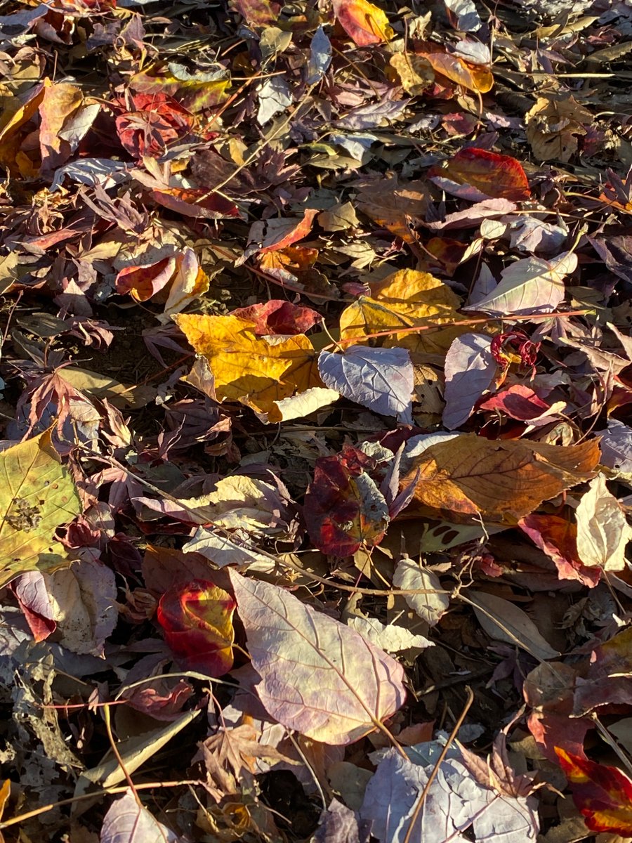 空太郎ページ 空太郎 (@kuukansugoi) / Posts / X