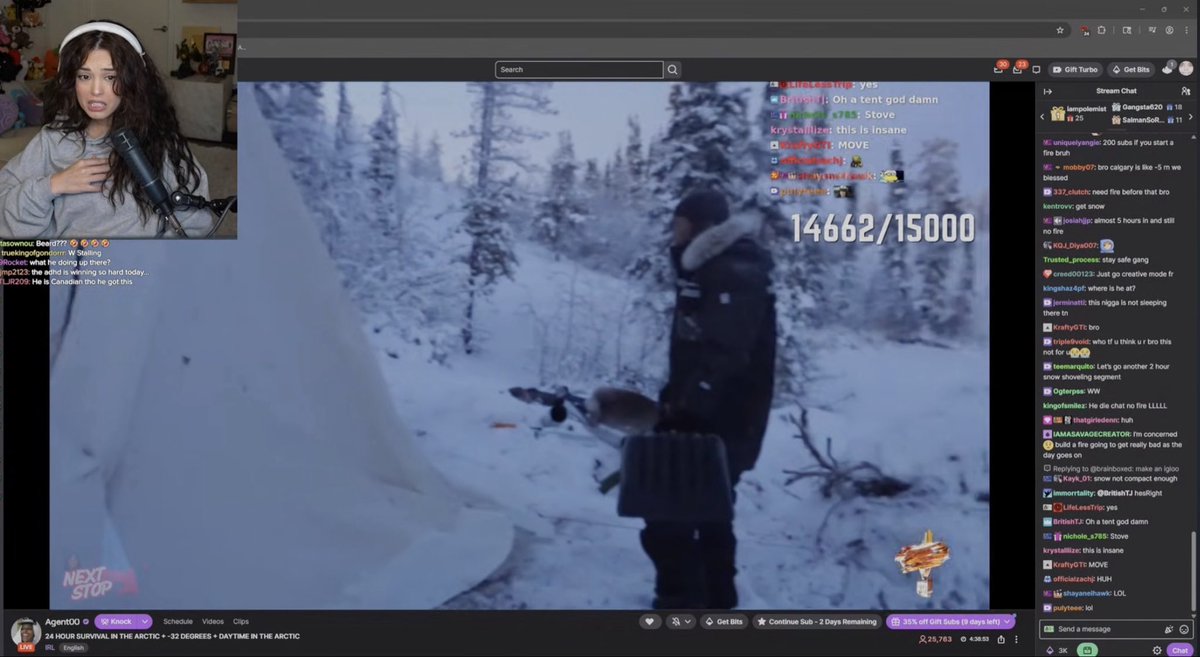 freenie ☀️ tweet media