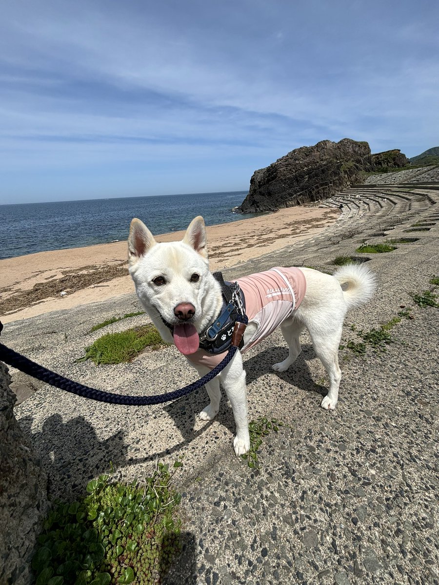 ボクもピンク🩷着てるよ