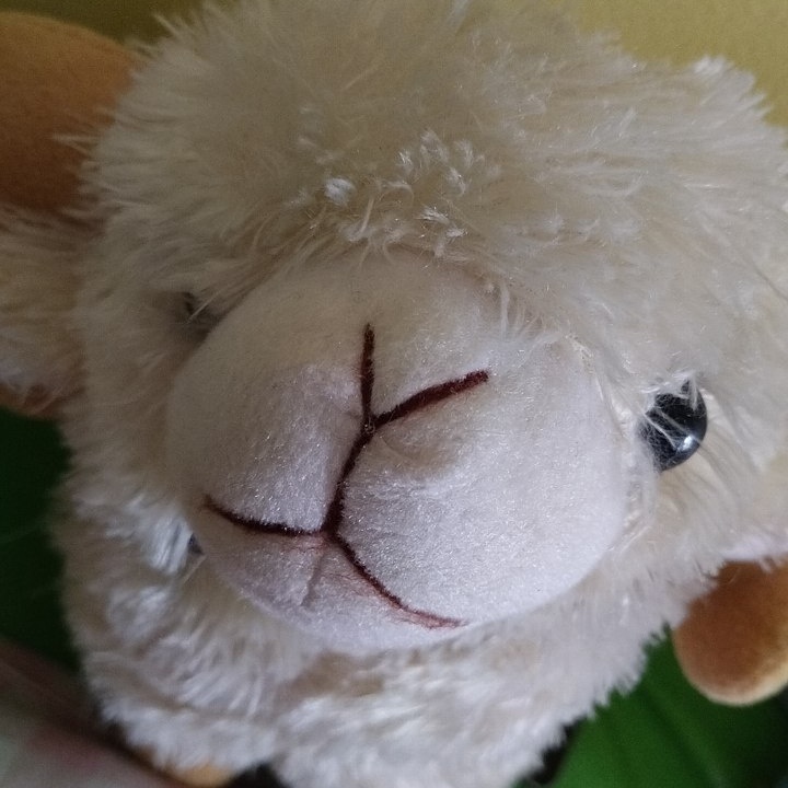 𖦹🍎⋆.୭aila⭑.ᐟ 💭 ݁˖ lolos snbt 2026 tweet media