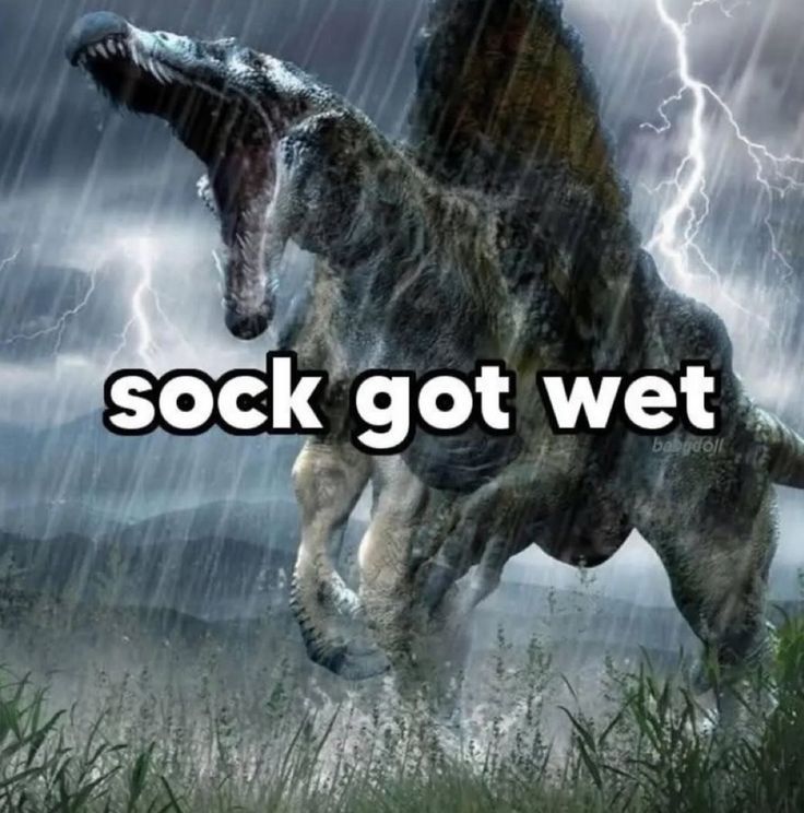 hourly_shitpost's tweet image. 