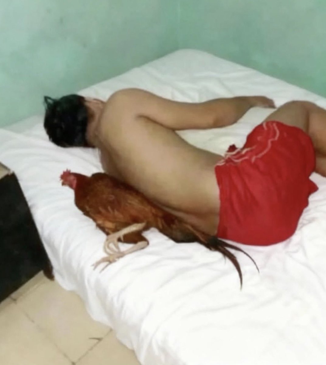 Sleeping with a natural alarm coz l cant switch it off without waking up