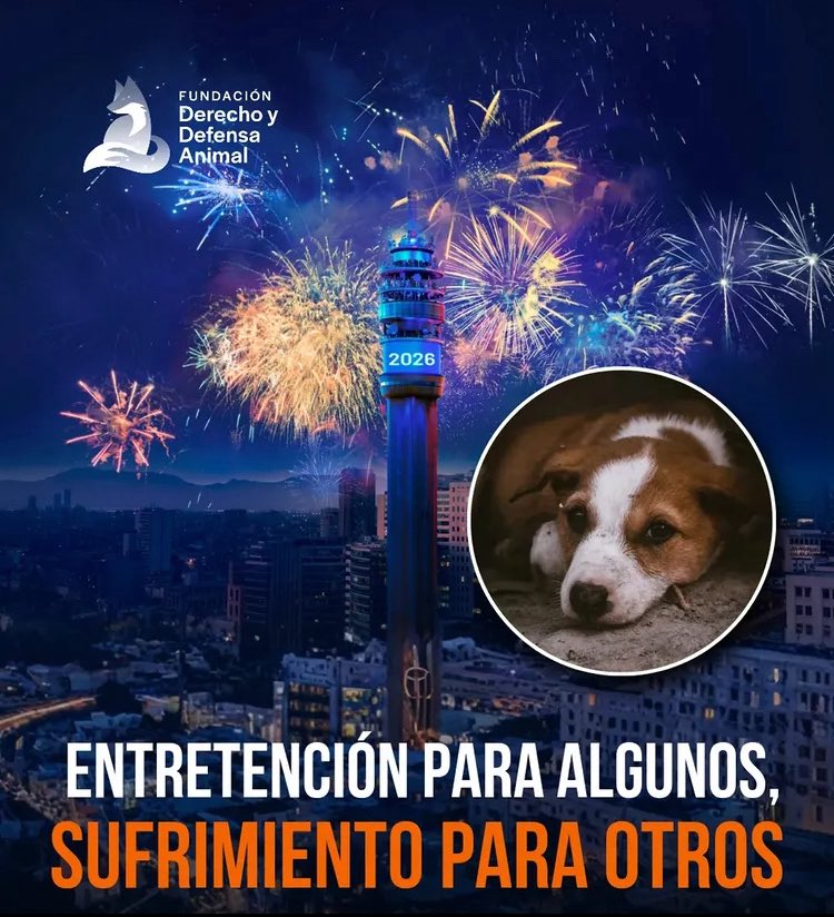 No fuegos artificiales! No a la pirotecnia! Vamos a nombrar los municipios que van a tener pirotecnia 🎆 deben entender la gravedad que implica para los perritos y gatitos !RT🥹🙏