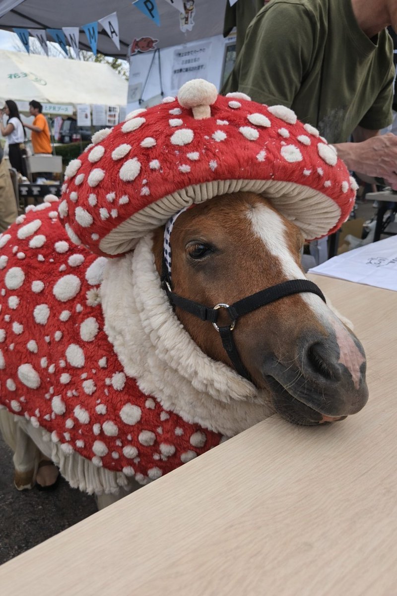 アサリめちゃくちゃ可愛い🥰