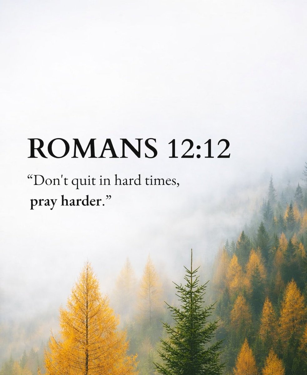 The__Bible7's tweet image. Romans 12:12