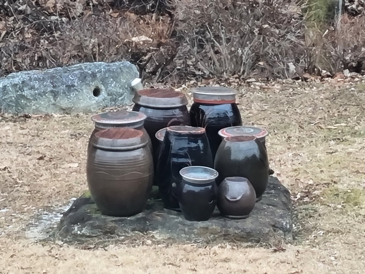 youngjoozi's tweet image. 울 동네 카페 밖 마당 항아리. 저 안엔 엄마와 고향이 담겨있다.