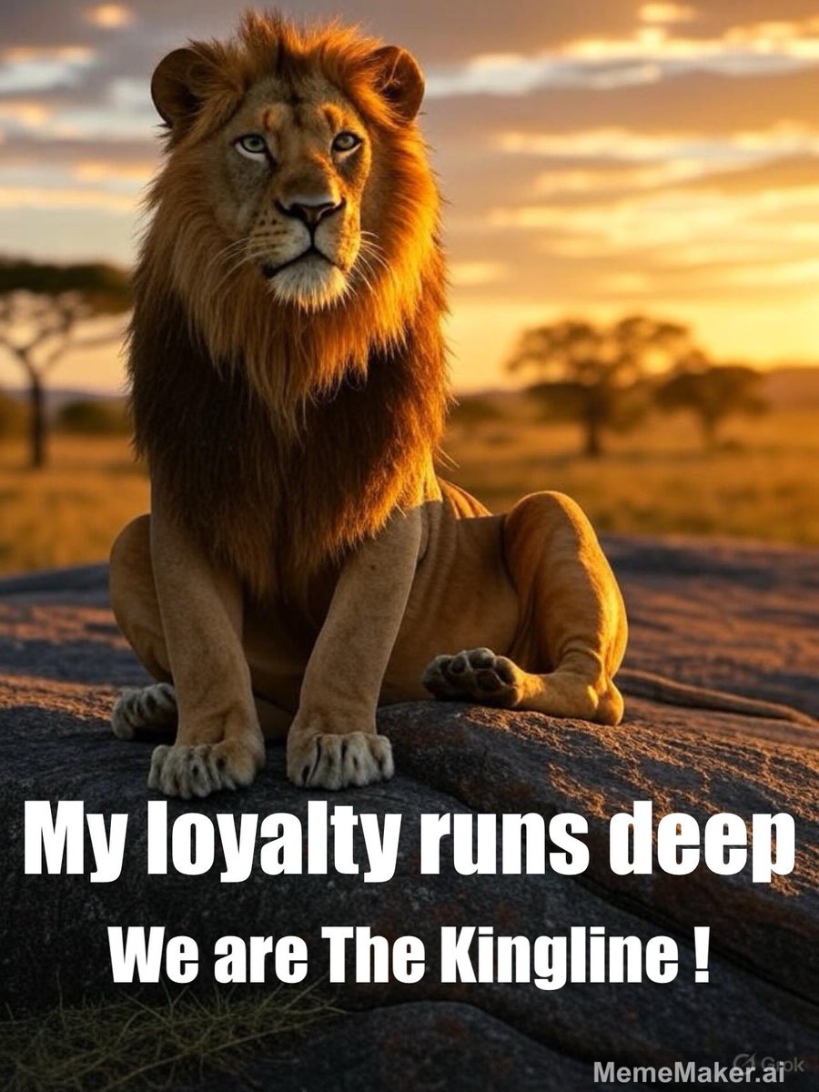 Michael Ploch tweet media