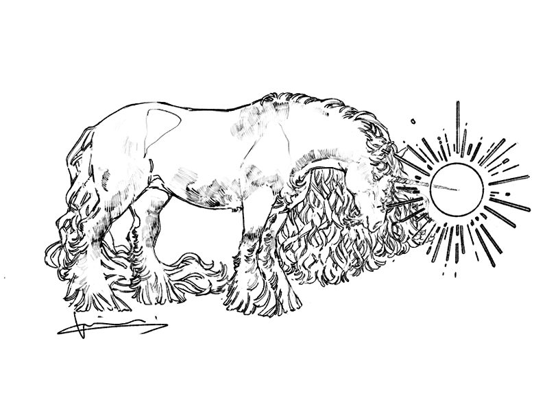 shishimai0531's tweet image. 🌞