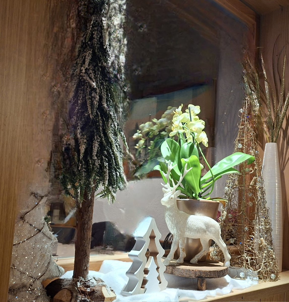 Morsche @ all🎄🤶🎅🎄
Nur noch einmal SCHLAFEN, dann ist's Christkind da👋
Schönen Arbeitstag für die Schaffenden und ruhigen Dienstag für die Urlauber 🎅🤶🎄
➡️☕️☕️☕️⬅️ frisch gekocht, somit Gutes Gelingen ⛄️⛄️⛄️