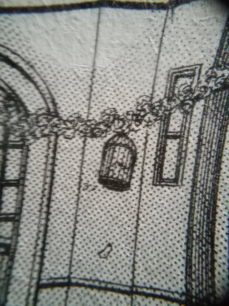 PandoraHearts フォト 国営ひたち海浜公園 | デコルテフォトグラフィー | 前撮り・フォト