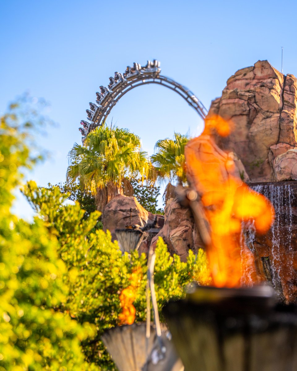 Two things getting us through the week:

1. VelociCoaster
2. ... that's it.