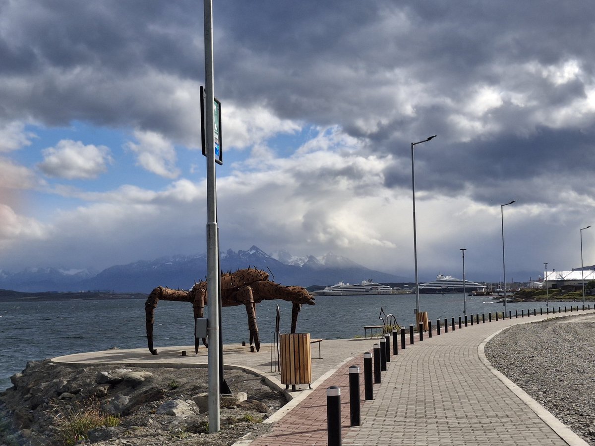 florencia fabiana (@fabianatolaba1) on Twitter photo 