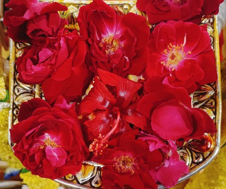 माँ लगा रहेगा ये साल का आना जाना 
पर आप हर दिन, हर समय, हर पल अपनी बेटी के साथ रहना, कभी भी अपनी बेटी को अकेला मत छोड़ना माँ ❤️🙏