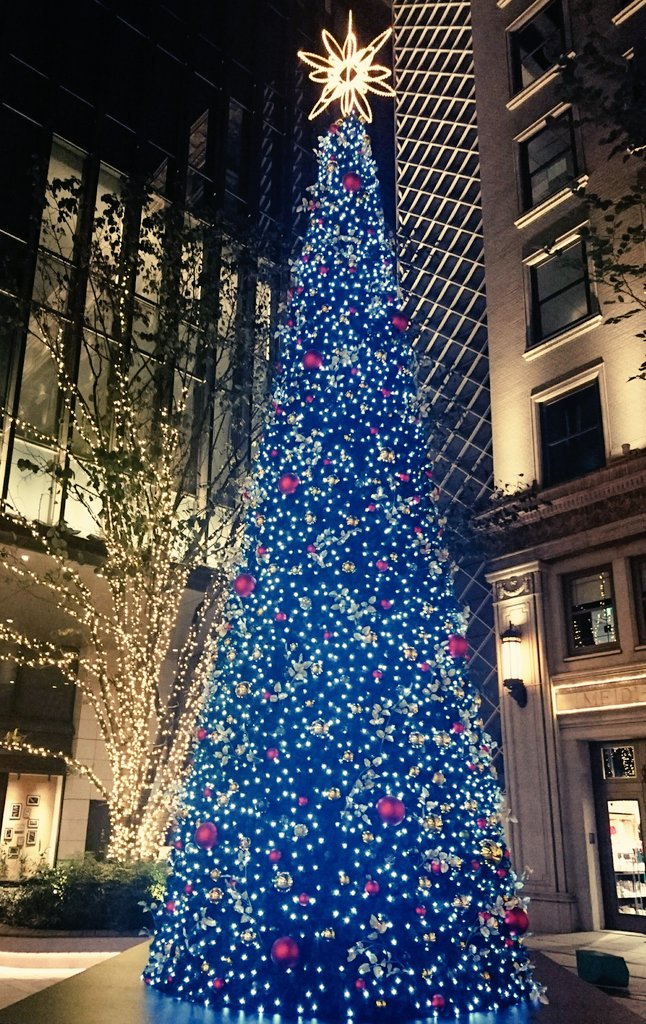 ひろりんページ 公社)弘前観光コンベンション協会 - 【りんごの約束 クリスマスの