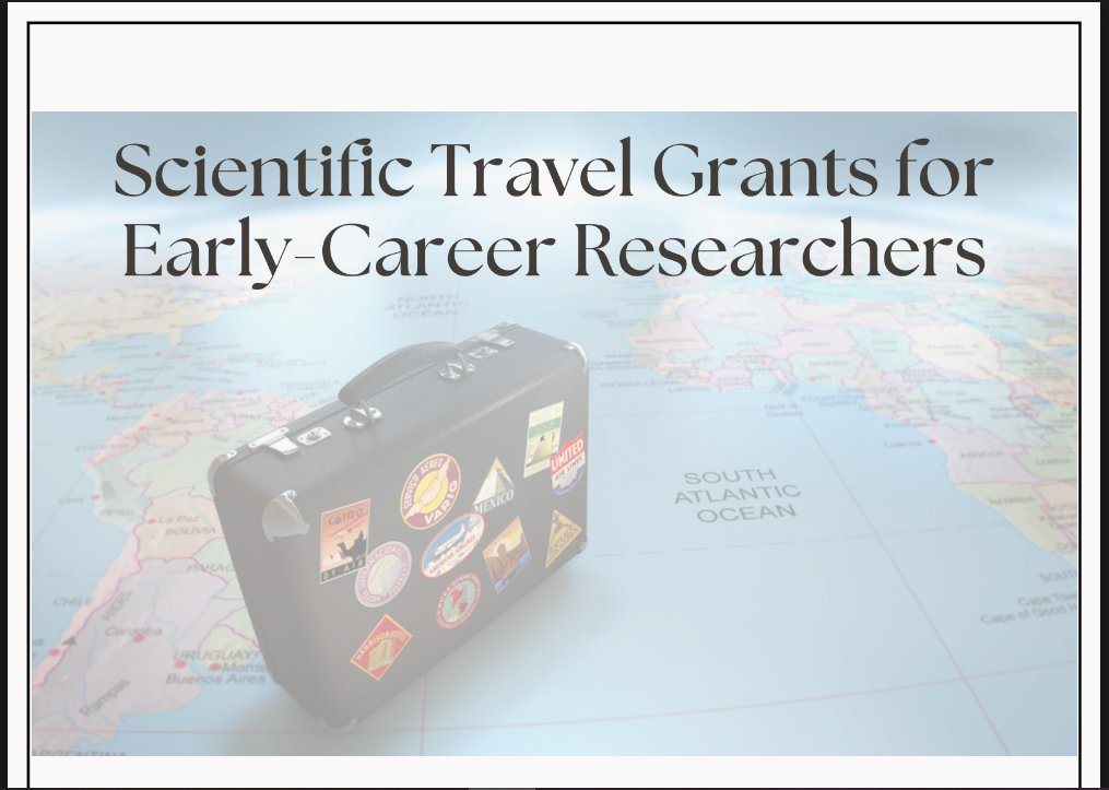 NaviClar tweet media