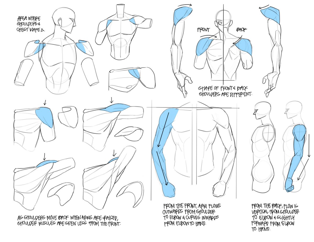 JELLYCAKES ♡ tweet media