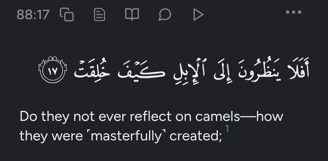 Mohammed tweet media