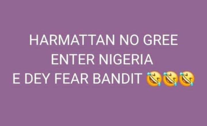 TimDoc4's tweet image. 