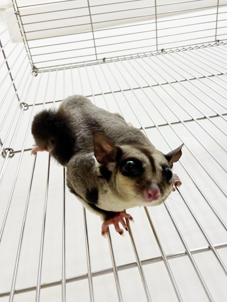 李映青 tweet media