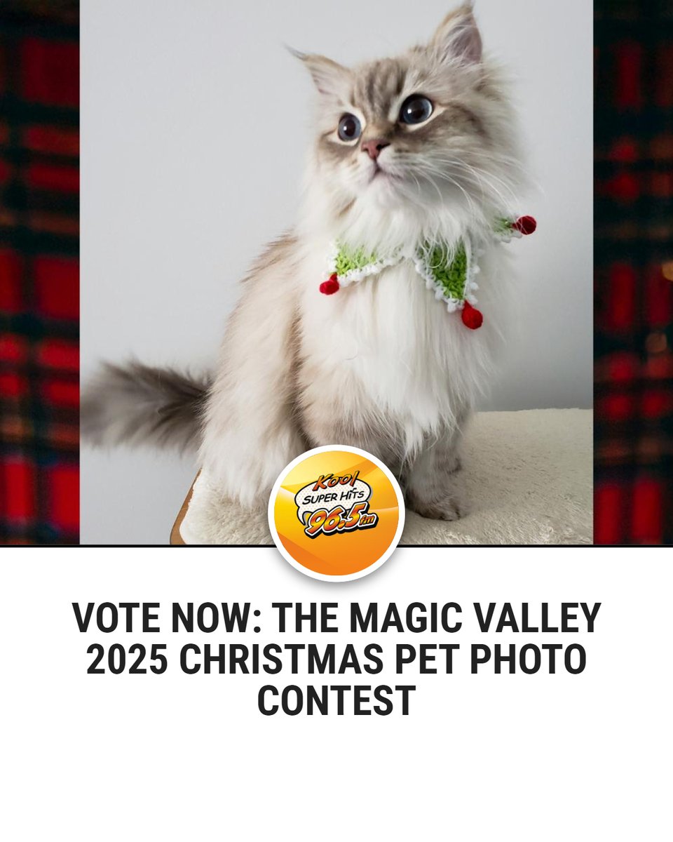 Kool96Point5's tweet image. You can see each finalist and vote daily for your favorite Christmas pet picture.
VOTE HERE - kool965.com/2025-christmas…