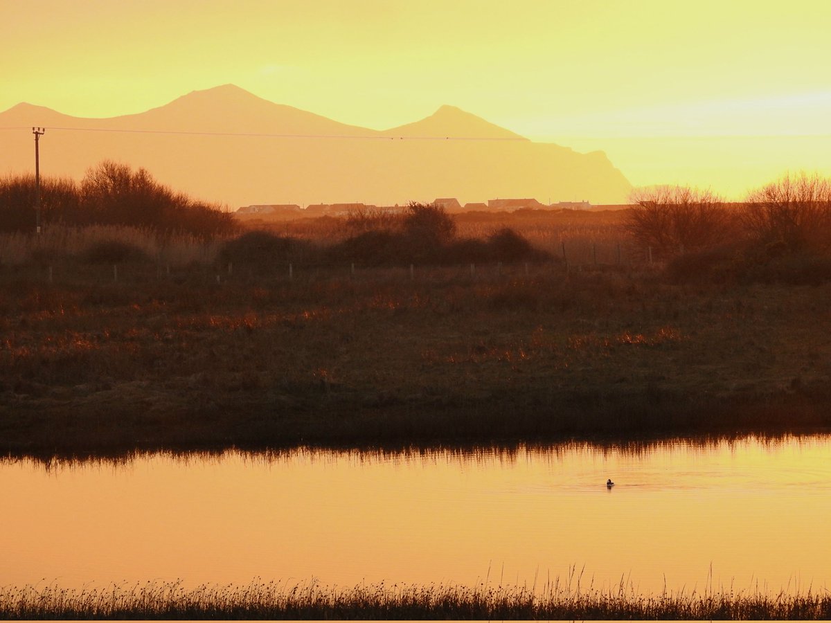 𝗗𝗮𝗻 𝗙𝗼𝘆 tweet media