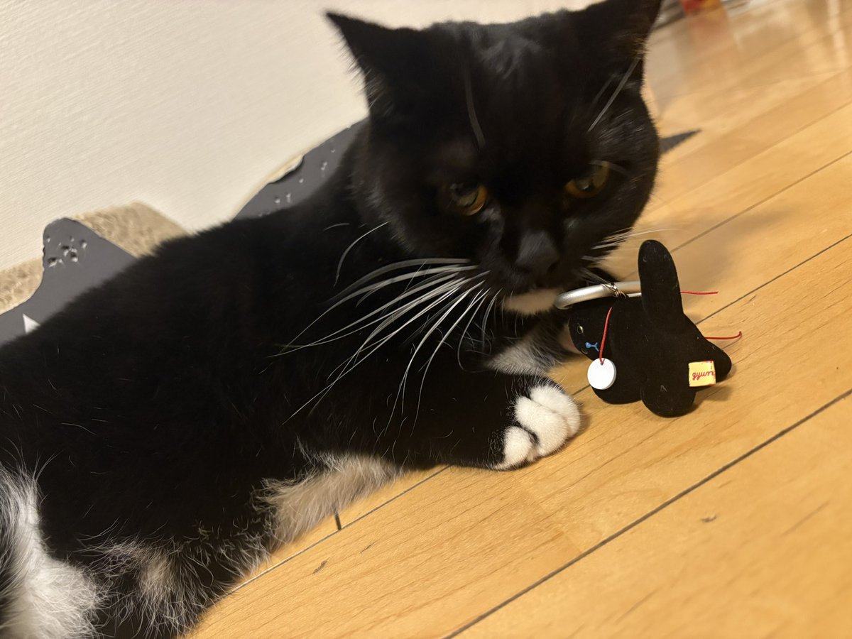 くろねこちゃん サイボーグクロちゃん エピソード2 日本語 | Cyborg Kuro Chan ep. 2