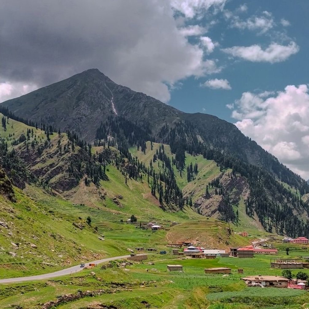 जज्बाती पंछी ....🥀🥀🥀 tweet media