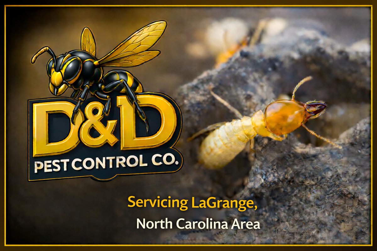 Wdavis3910's tweet image. 🐜🕷️ Seeing #pests in La Grange, North Carolina?
 D &amp;amp; D Pest Control Co. provides reliable, professional pest control for #ants, #roaches, #spiders, #termites, and more—protecting homes and businesses #waynecountync 
#LaGrangeNC #PestControlNC #ExterminatorNC #EasternNC #ddpest