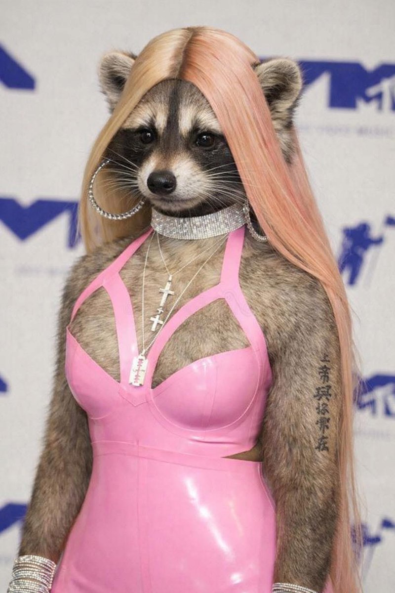 SKTheKingYT's tweet image. Look It’s Maga Minaj 🤣