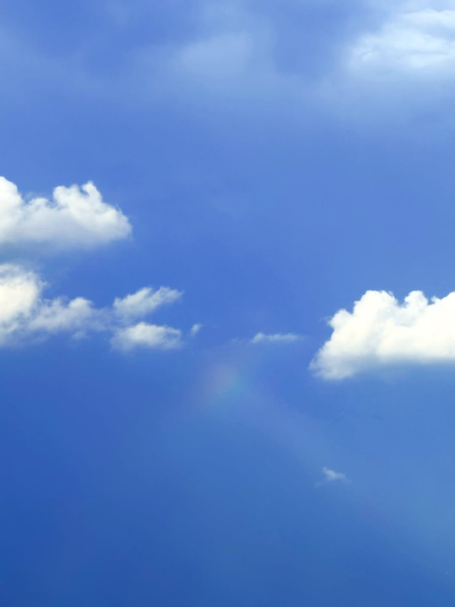 maynard_si's tweet image. 真っ青な空,今日みたいな気分です