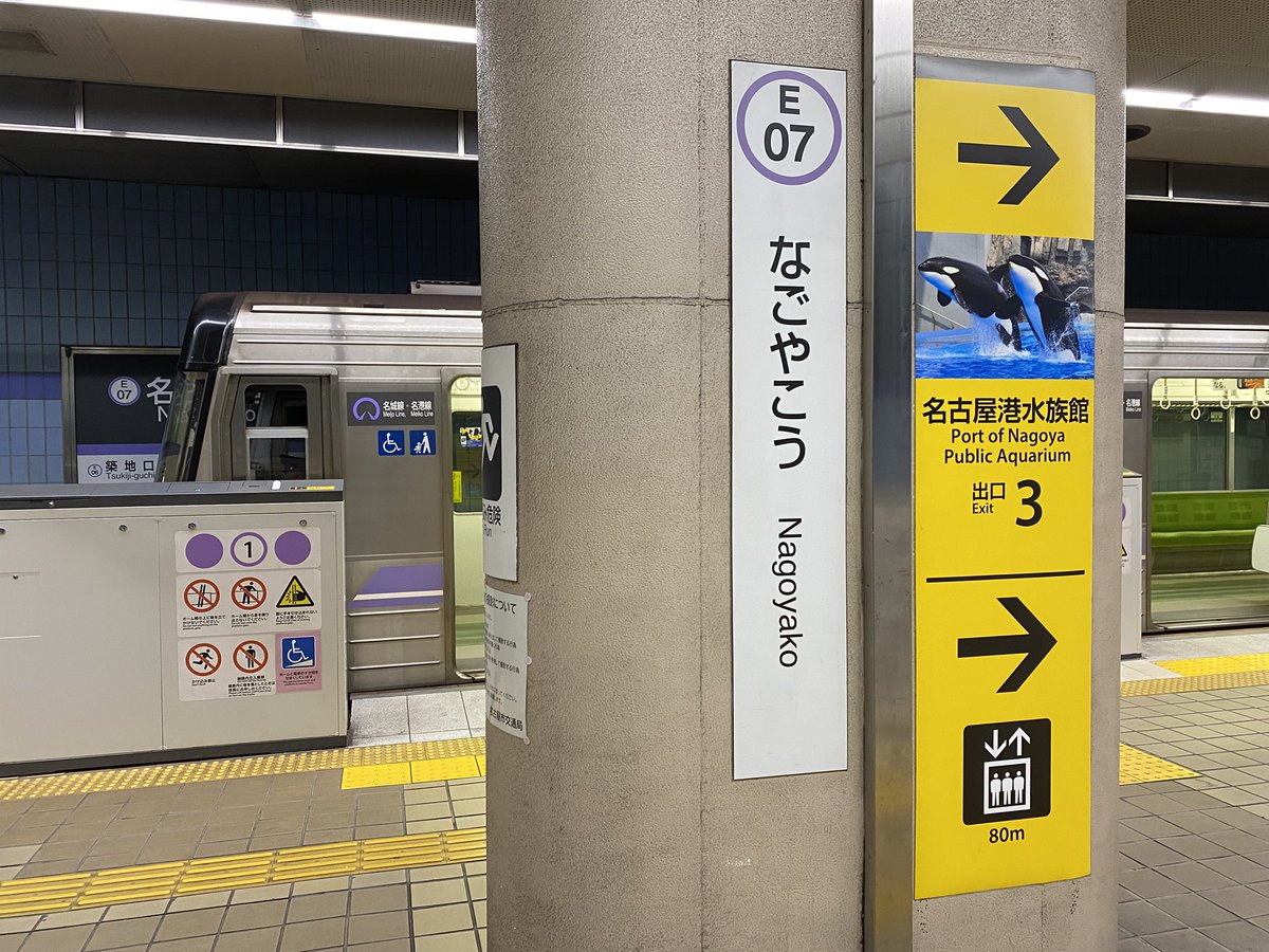 たまご (@tamago_215) / Posts / X