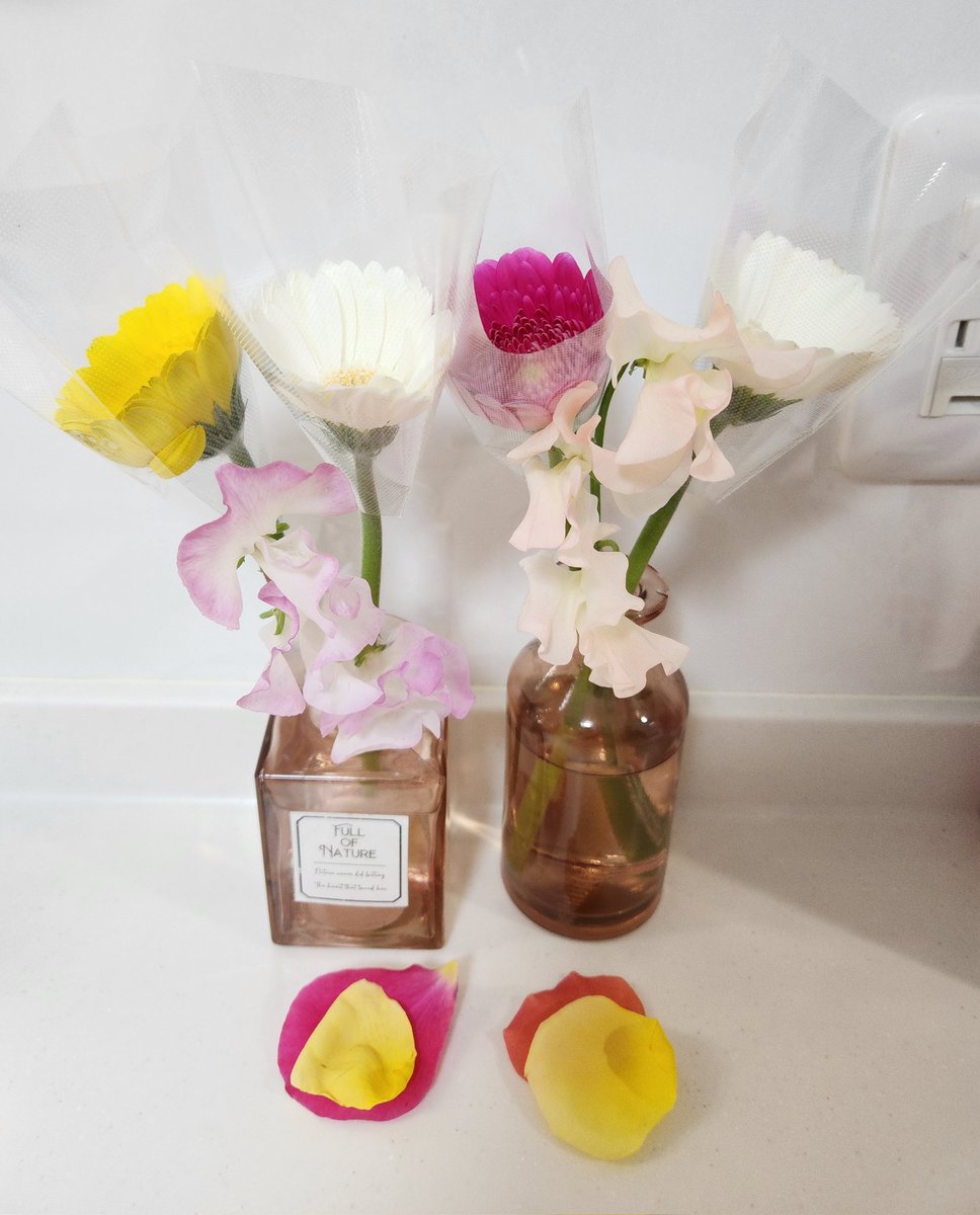 【愛媛🍊大好き】北川良子🍶💐 tweet media