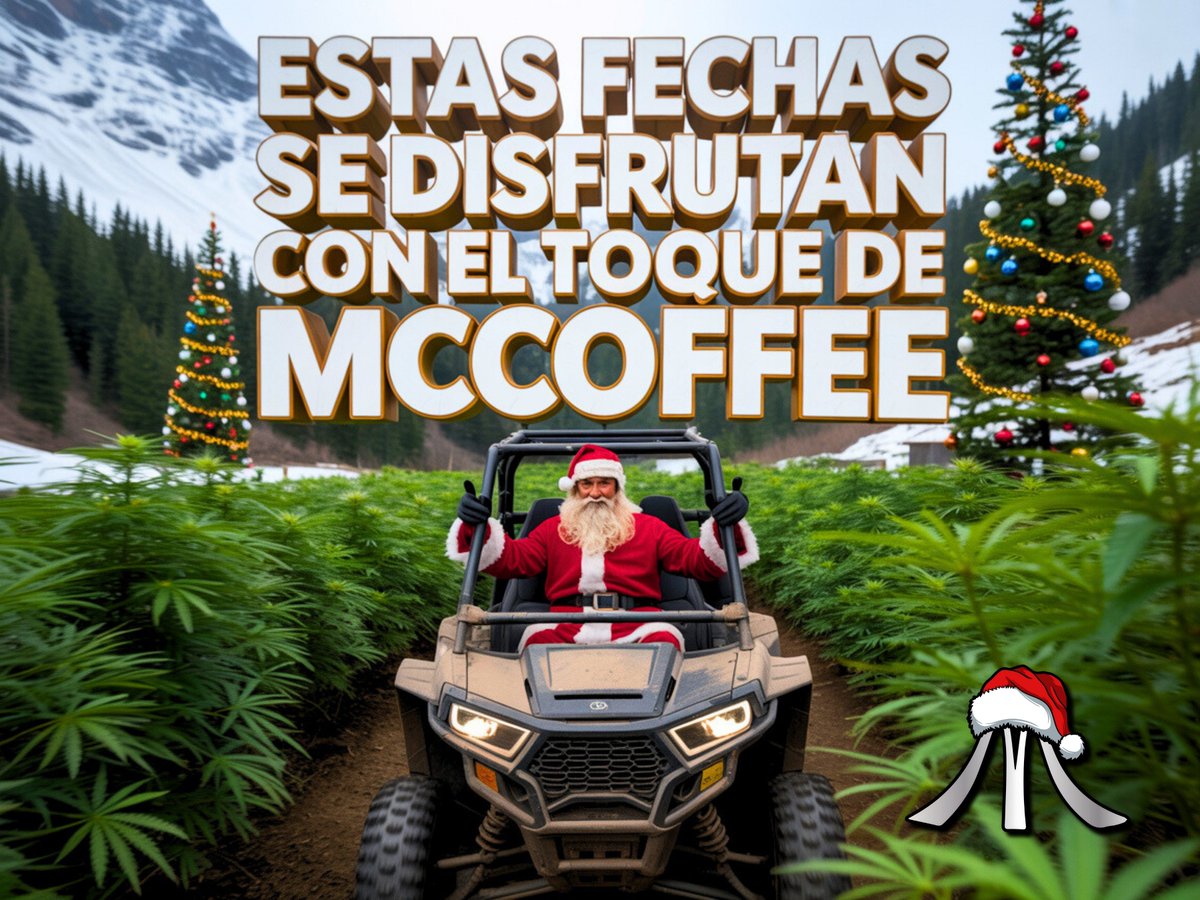 La magia de McCoffee se disfruta en estas fechas! Pero no te quedes sin lo tuyo 🎅🏻🔥📩 ya estamos sacando sus pendientes y tomando pedidos nuevos pa que se pasen una navidad muy elevada! Quieren sorteo? Ya saben Like y RT pa soltarlo mañana!🎄
#Navidad #Mexico #Cannabis #cdmx