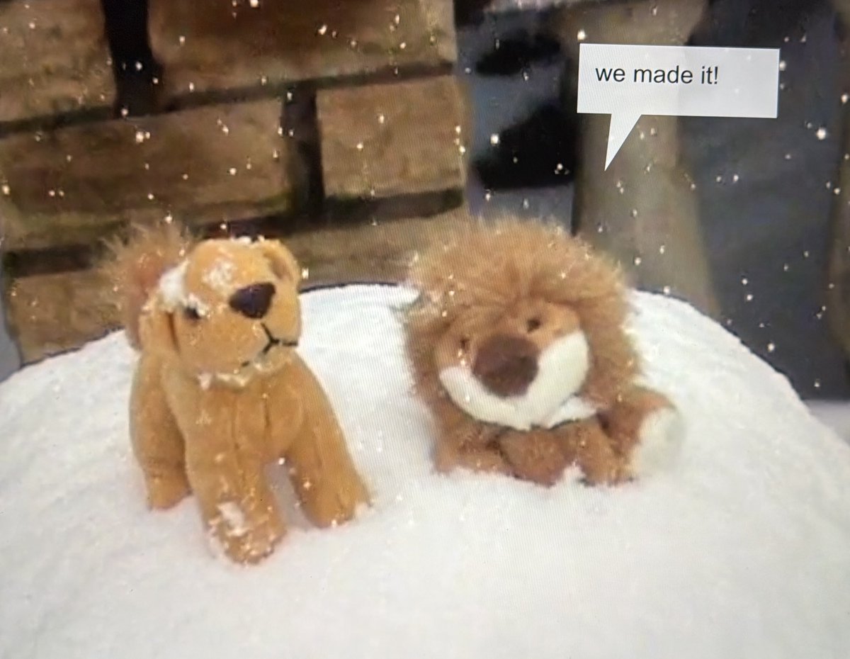 pawinof's tweet image. why am i actually crying stop it they r so stinking cute